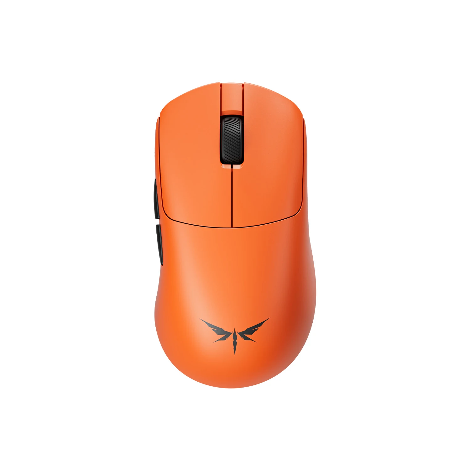 VGN Dragonfly Y2